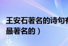 王安石著名的詩句有哪些（王安石的詩有哪些最著名的）
