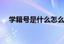 學籍號是什么怎么查詢（學籍號是什么）