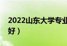 2022山東大學(xué)專(zhuān)業(yè)排名及介紹（哪些專(zhuān)業(yè)最好）