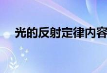 光的反射定律內容（光的反射定律內容）