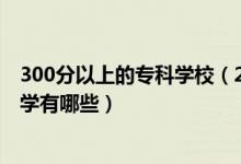 300分以上的?？茖W(xué)校（2022高考300分左右的公辦?？拼髮W(xué)有哪些）