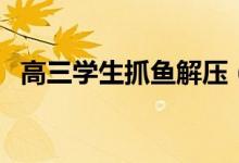 高三學(xué)生抓魚解壓（高考前如何解壓放松）