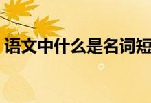 語文中什么是名詞短語(語文中什么是名詞)