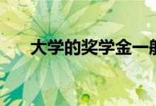 大學的獎學金一般是多少（怎么獲得）