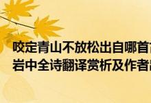 咬定青山不放松出自哪首古詩（咬定青山不放松立根原在破巖中全詩翻譯賞析及作者出處）