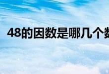 48的因數(shù)是哪幾個(gè)數(shù)（48的因數(shù)有哪些數(shù)）