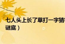 七人頭上長(zhǎng)了草打一字猜字謎答案（七人頭上長(zhǎng)了草打一字謎底）