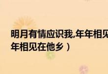 明月有情應(yīng)識(shí)我,年年相見(jiàn)在他鄉(xiāng)作者（明月有情應(yīng)識(shí)我 年年相見(jiàn)在他鄉(xiāng)）