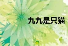 九九是只貓(九九是什么節(jié))