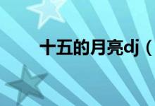十五的月亮dj（十五的月亮猜成語）