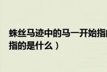 蛛絲馬跡中的馬一開(kāi)始指的是什么（蛛絲馬跡中的馬一開(kāi)始指的是什么）