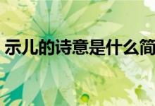 示兒的詩(shī)意是什么簡(jiǎn)短（示兒的詩(shī)意是什么）