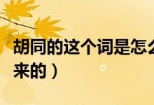 胡同的這個(gè)詞是怎么來的（胡同這個(gè)詞是怎么來的）
