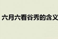 六月六看谷秀的含義（六月六看谷秀啥意思）