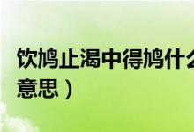 飲鳩止渴中得鳩什么意思（飲鳩止渴鳩是什么意思）