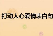 打動人心愛情表白句子（最浪漫的表白話語）