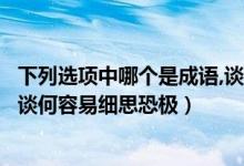 下列選項(xiàng)中哪個(gè)是成語(yǔ),談何容易細(xì)思恐極（下列哪個(gè)是成語(yǔ)談何容易細(xì)思恐極）