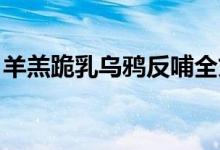 羊羔跪乳烏鴉反哺全文（烏鴉反哺 羊羔跪乳）