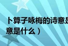 卜算子詠梅的詩(shī)意是什么呢（卜算子詠梅的詩(shī)意是什么）