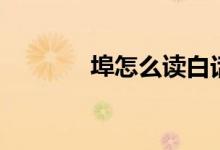 埠怎么讀白話文（埠怎么讀）
