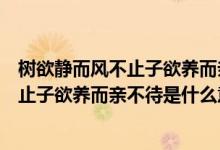 樹欲靜而風(fēng)不止子欲養(yǎng)而親不待是什么意思（樹欲靜而風(fēng)不止子欲養(yǎng)而親不待是什么意思）