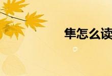 隼怎么讀（隼怎么讀）