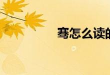 騫怎么讀的(騫怎么讀)