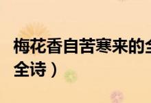 梅花香自苦寒來(lái)的全詩(shī)是（梅花香自苦寒來(lái)的全詩(shī)）