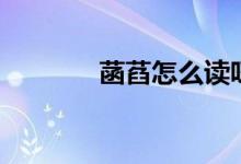 菡萏怎么讀呀（菡萏怎么讀）