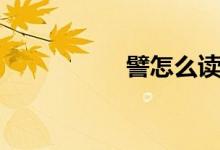 譬怎么讀（譬怎么讀）