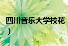 四川音樂大學?；ǎㄋ拇ㄒ魳穼W院?；Ь_）