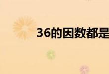 36的因數(shù)都是哪些(36的因數(shù))