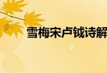 雪梅宋盧鉞詩(shī)解析（雪梅宋盧鉞詩(shī)）