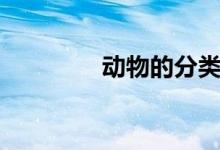 動(dòng)物的分類（動(dòng)物的分類）