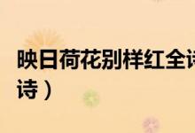 映日荷花別樣紅全詩(shī)意思（映日荷花別樣紅全詩(shī)）