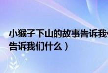 小猴子下山的故事告訴我們什么一年級(jí)（小猴子下山的故事告訴我們什么）