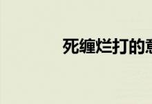 死纏爛打的意思（死纏爛打）