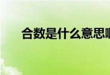 合數(shù)是什么意思啊（合數(shù)是什么意思）