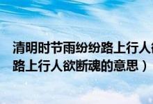 清明時(shí)節(jié)雨紛紛路上行人欲斷魂的意思是（清明時(shí)節(jié)雨紛紛路上行人欲斷魂的意思）