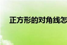 正方形的對(duì)角線怎么算（正方形的特征）