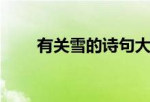 有關(guān)雪的詩(shī)句大全（有關(guān)雪的詩(shī)句）
