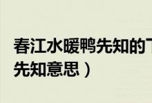 春江水暖鴨先知的下一句是什么(春江水暖鴨先知意思)
