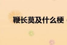 鞭長(zhǎng)莫及什么梗（鞭長(zhǎng)莫及什么意思）