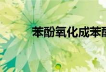 苯酚氧化成苯醌機理（苯酚氧化）