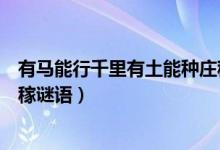 有馬能行千里有土能種莊稼猜字（有馬能行千里有土能種莊稼謎語）