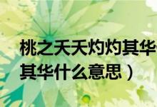 桃之夭夭灼灼其華什么寓意(桃之夭夭 灼灼其華什么意思)