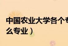 中國農(nóng)業(yè)大學(xué)各個(gè)專業(yè)（中國農(nóng)業(yè)大學(xué)都有什么專業(yè)）