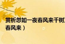 賞析忽如一夜春風(fēng)來千樹萬樹梨花開的意思（賞析忽如一夜春風(fēng)來）