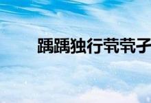 踽踽獨行煢煢孑立讀音（踽踽躑躅）
