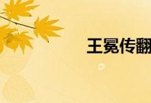 王冕傳翻譯（王冕傳）